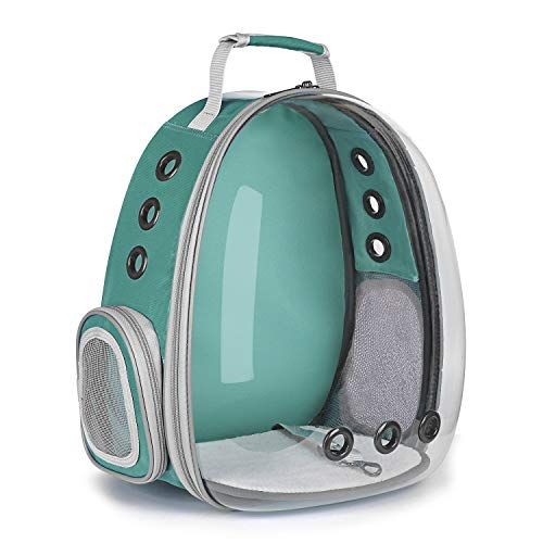 Best Cat Carrier Backpack Lollimeow Pet Carrier Backpack