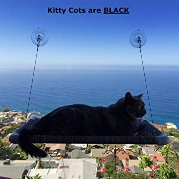 Best Cat Perch For Windows And Walls Original KITTY COT Cat Perch