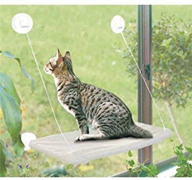 Best Cat Perch For Windows And Walls PETPAWJOY Cat Bed