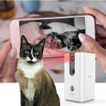 Best Pet Camera For Cats
