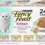 best-wet-cat-food-for-kittens-1