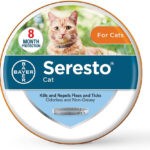 best flea collar for cats 1
