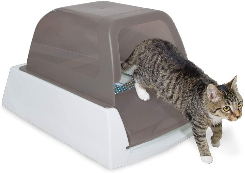 PetSafe ScoopFree Automatic Self Cleaning Hooded Cat Litter Box