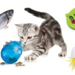 Best Interactive Toys For Cats