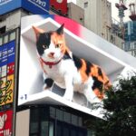 Giant Hyper-Realistic 3D Cat Billboard
