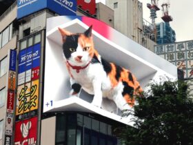 Giant Hyper-Realistic 3D Cat Billboard