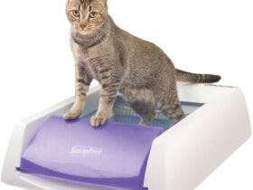 PetSafe ScoopFree Original Automatic Cat Litter Box Review 1